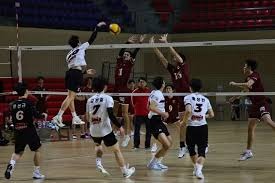 47 岁的王励勤官宣新身份，樊振东成赢家，原来一切早有预兆